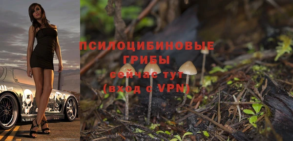 COCAINE Ельня