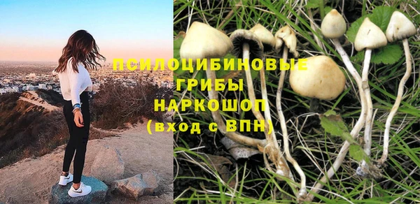 винт Дмитров